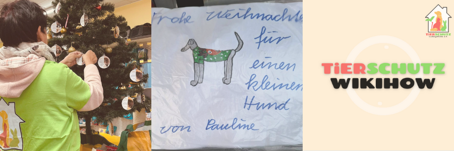 Öffentlichkeit/ Jugend aufklären und Spenden sammeln Tierschutz Ludwigsfelde