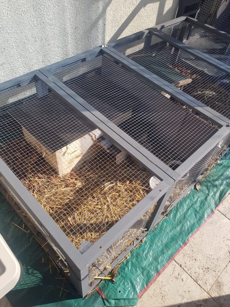 Gehege Tierschutz Ludwigsfelde