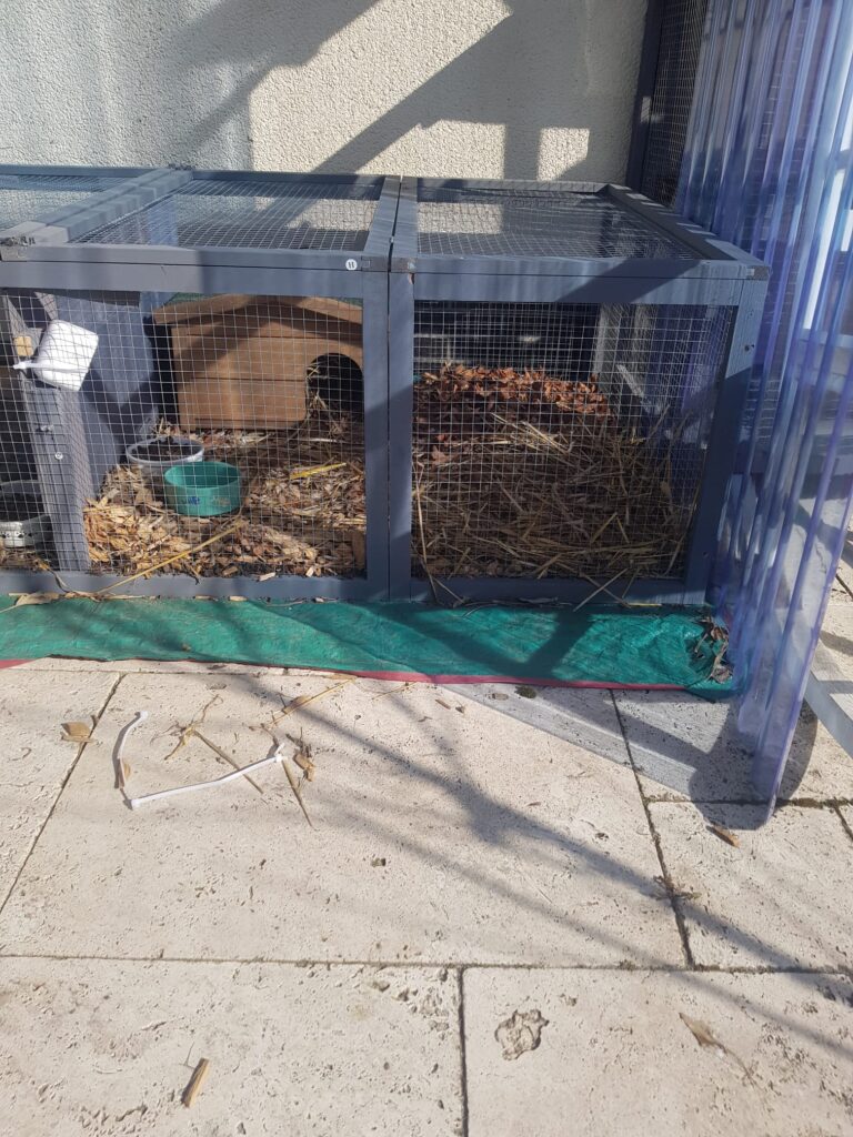 Gehege Tierschutz Ludwigsfelde