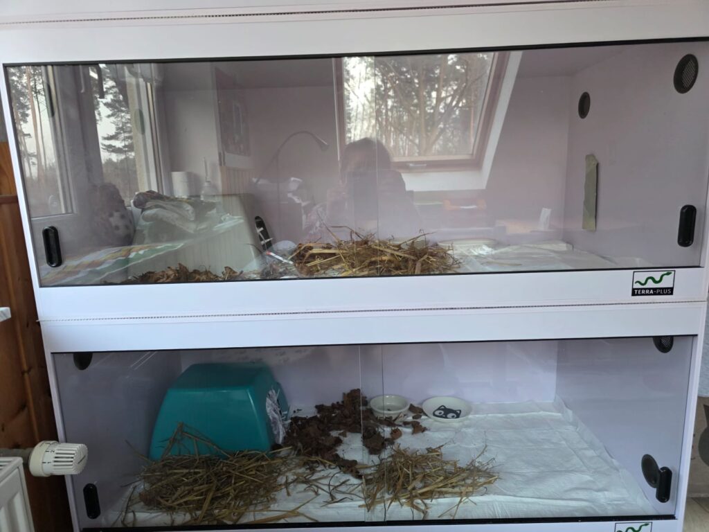 VR-Bank Spende Igel Tierschutz Ludwigsfelde