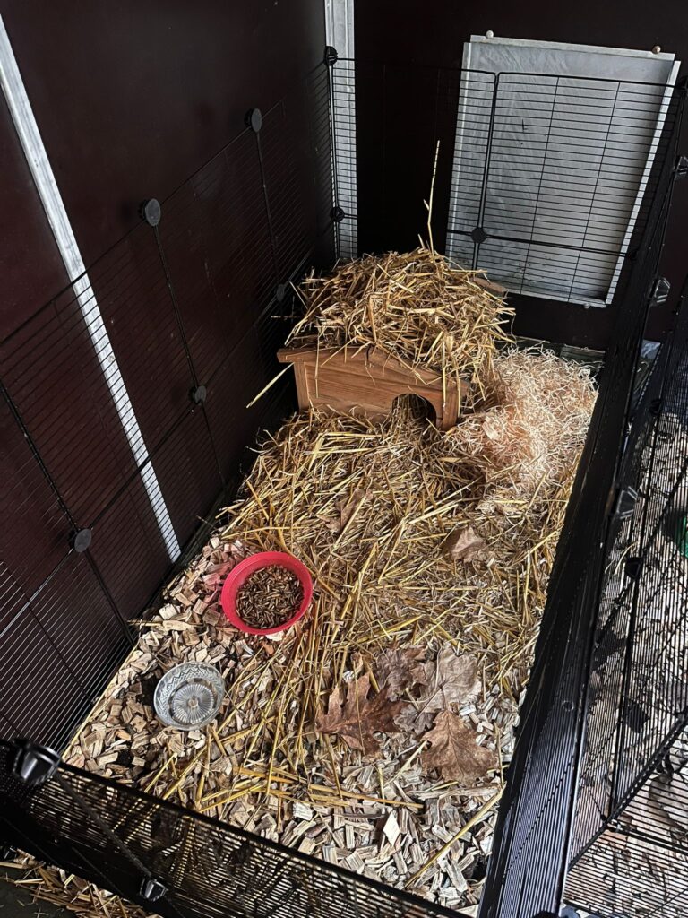 Gehege Tierschutz Ludwigsfelde