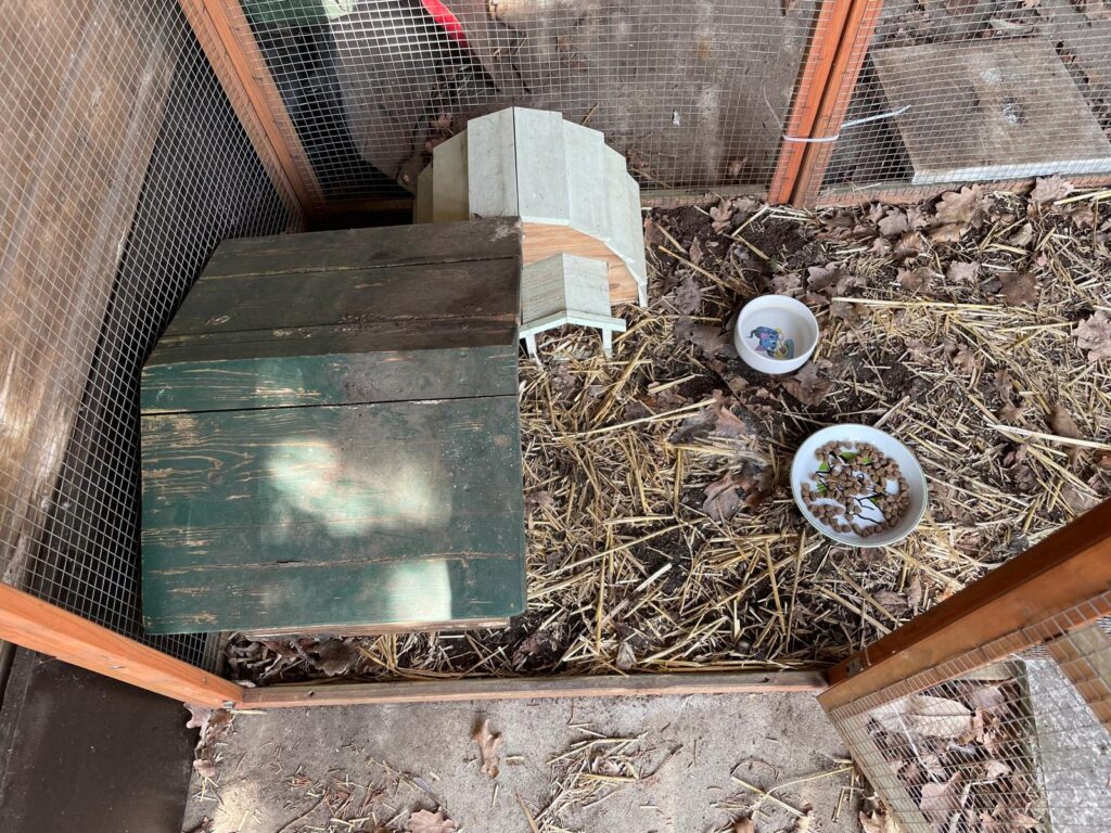 Gehege Tierschutz Ludwigsfelde